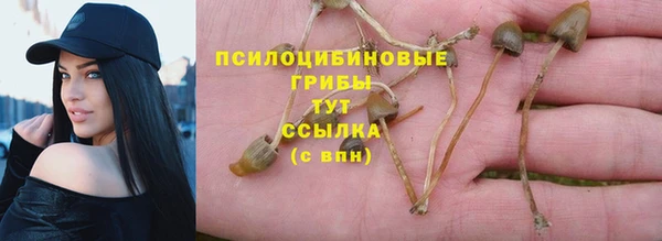амф Майский