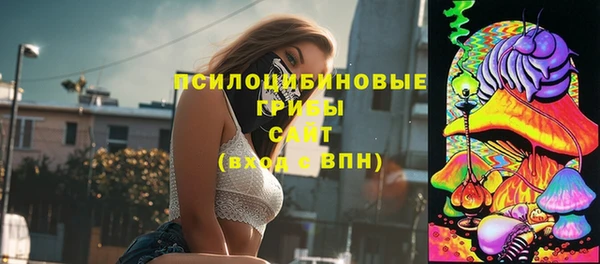 гашик Магадан