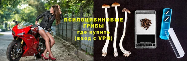 гашик Магадан