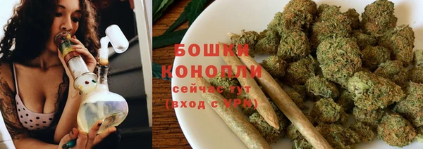 крисы Магас