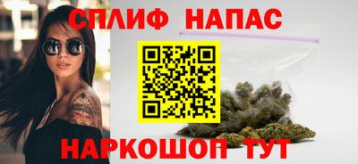 гидра Кимры