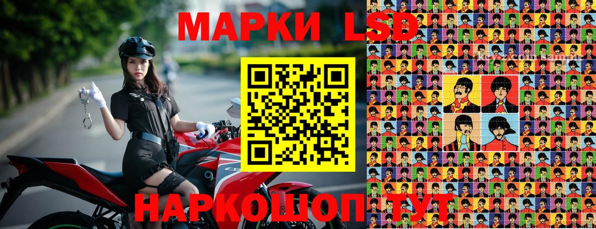 Наркотические марки 1500мкг  Наркотические марки 1500мкг  Новоалтайск  Вход с VPN 