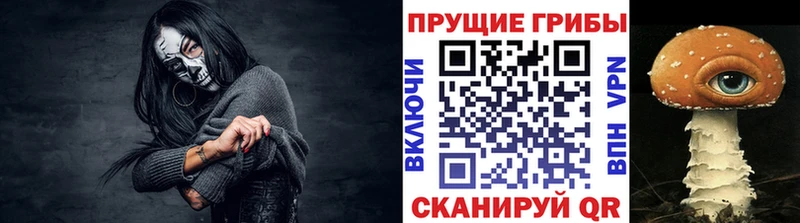 Псилоцибиновые грибы Cubensis  маркетплейс состав  Новоалтайск 